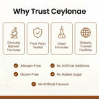 Ceylon Cinnamon 7200mg Equivalent with MCT Oil
